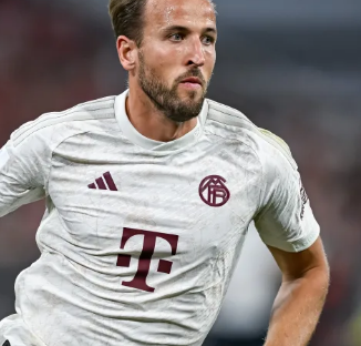 媒体来说 媒体来说